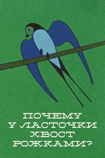 Poster for Why the Swallow's Tail Is Double?