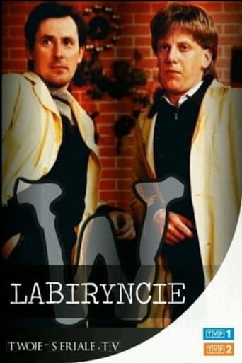 Poster for W labiryncie