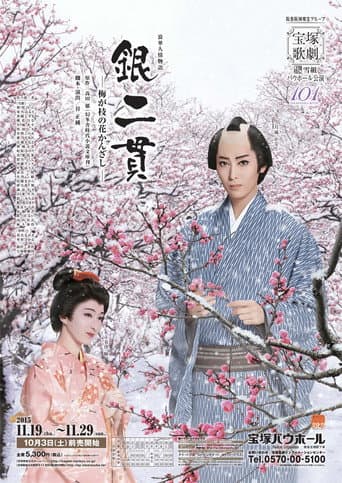 Poster for Two Pieces of Silver: The Plum-Branch Hair Pin