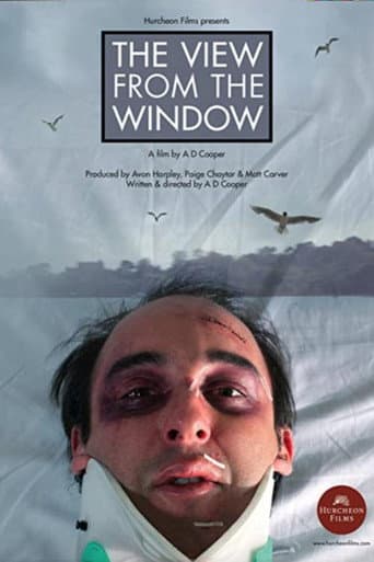 Poster for The View From The Window