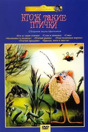 Poster for What Are Birds, Anyway?