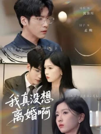 Poster for 我真没想离婚啊