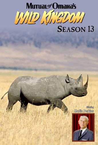 Poster for Season 13