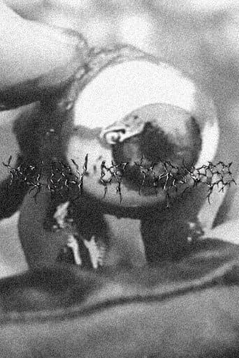 Poster for Melody Of Madness