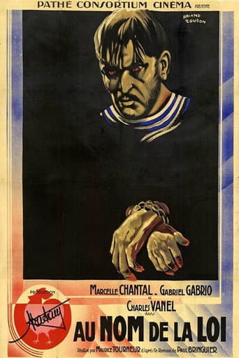 Poster for In the Name of the Law