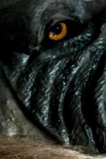 Poster for The Werewolf of Chatsford