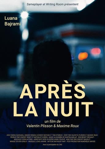 Poster for After the Night