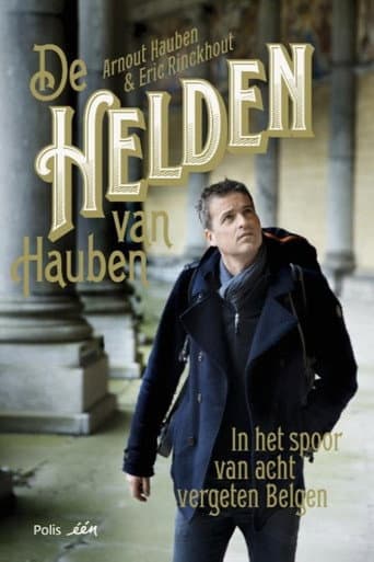 Poster for De helden van Arnout