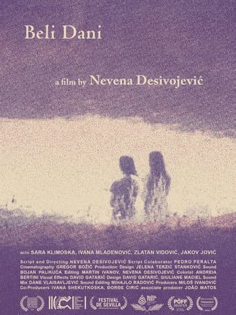 Poster for Bright Summer Days