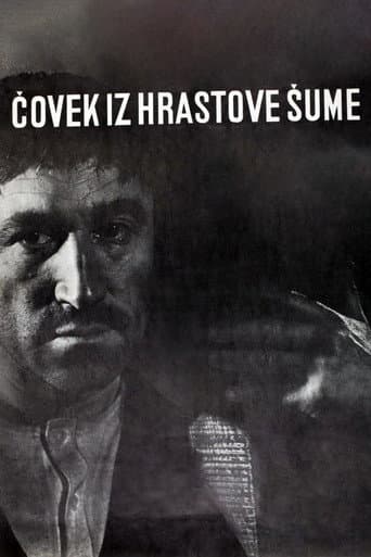Poster for The Man from the Oak Forest