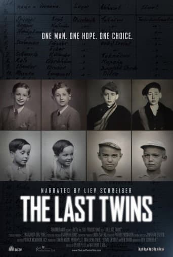 Poster for The Last Twins