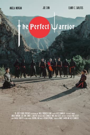 Poster for The Perfect Warrior