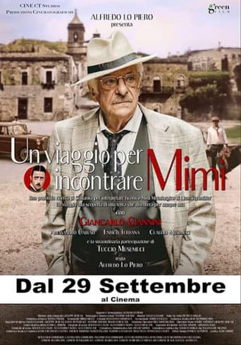 Poster for Un viaggio per incontrare Mimì