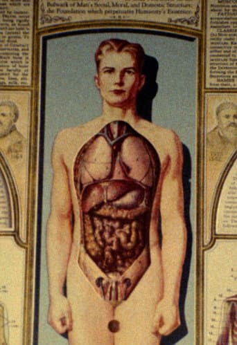 Poster for Natural History