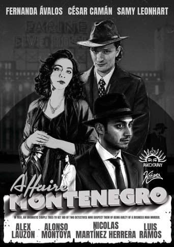 Poster for The Montenegro Affair