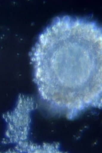 Poster for Fertilization in Video