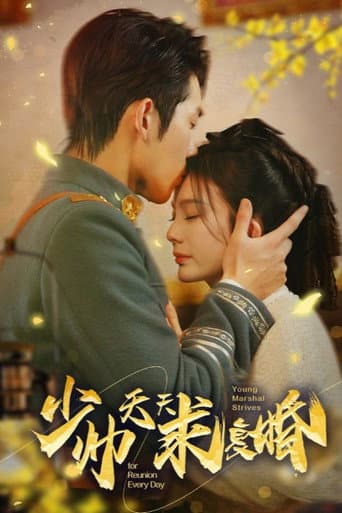 Poster for 少帅天天求复婚