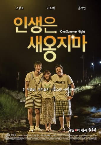 Poster for One Summer Night