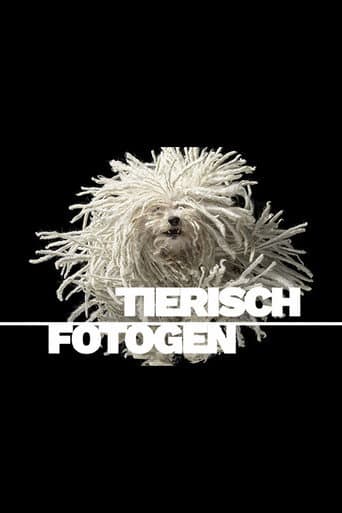 Poster for Animal Art: Photogenic Creatures