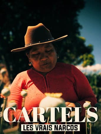Poster for Les vrais Narcos