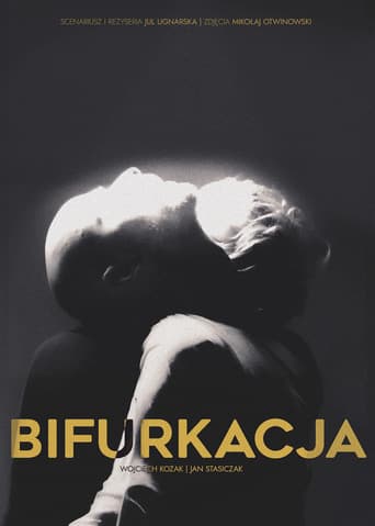 Poster for Bifurcation