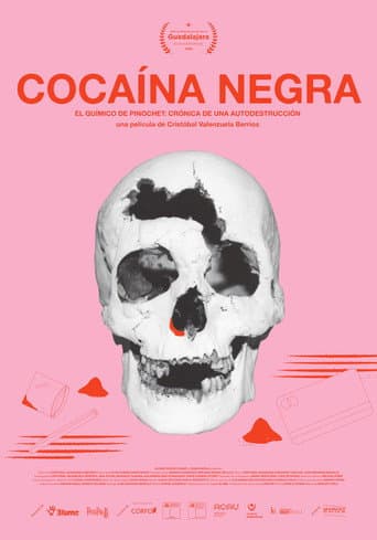 Poster for Black Cocaine
