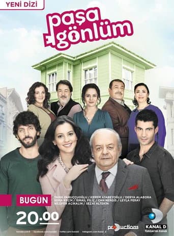 Poster for Paşa Gönlüm