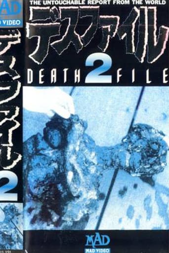 Poster for Death File 2