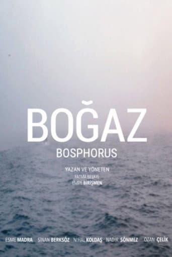Poster for Bosphorus