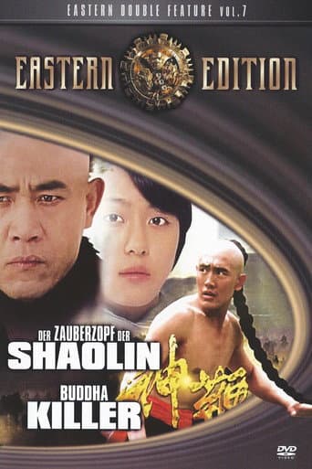 Poster for The Magic Braid