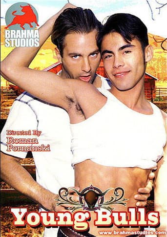Poster for Young Bulls