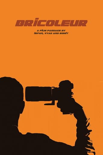 Poster for Bricoleur