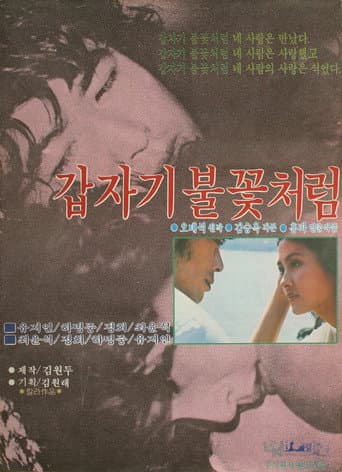 Poster for Sudden Flame