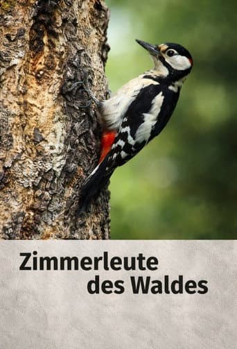 Poster for Woodpecker