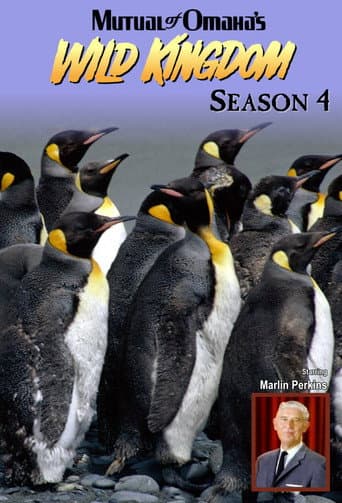 Poster for Season 4