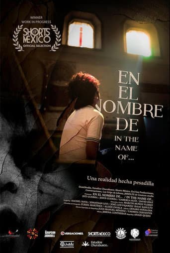 Poster for In the name of...