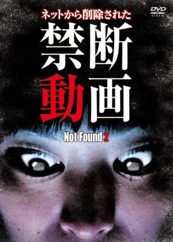 Poster for Not Found 2