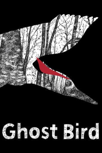 Poster for Ghost Bird