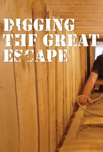 Poster for Digging The Great Escape