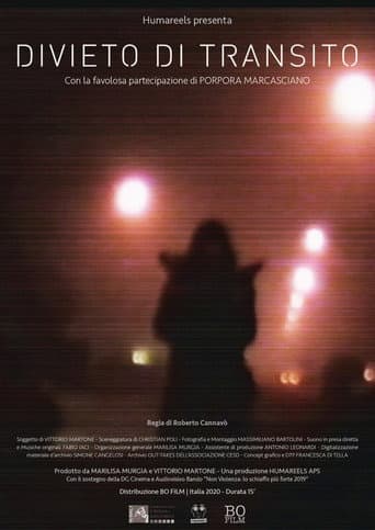 Poster for Forbidden Transit
