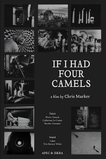 Poster for If I Had Four Dromedaries