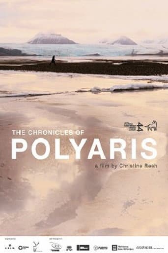 Poster for The Chronicles of Polyaris