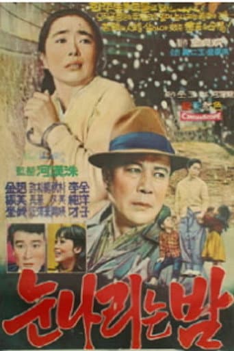 Poster for The Snow Falling Night