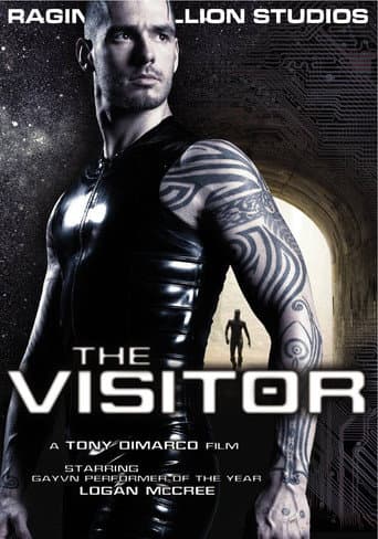 Poster for The Visitor