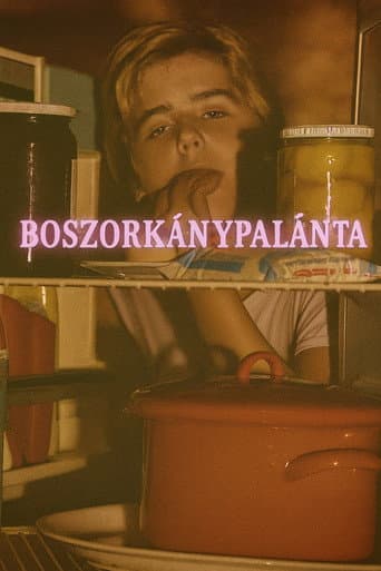 Poster for Boszorkánypalánta