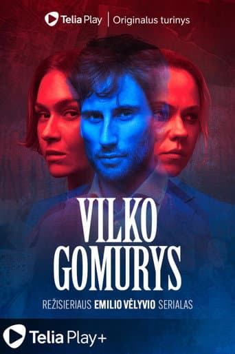 Poster for Vilko gomurys