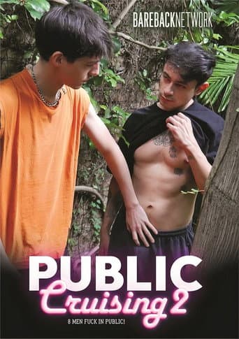 Poster for Public Cruising 2