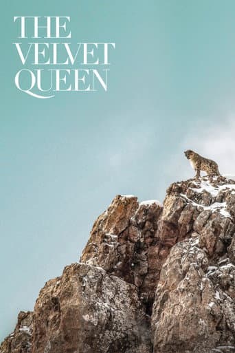 Poster for The Velvet Queen