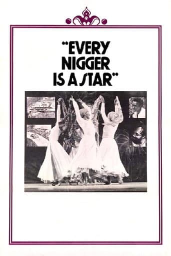 Poster for Every Nigger Is a Star