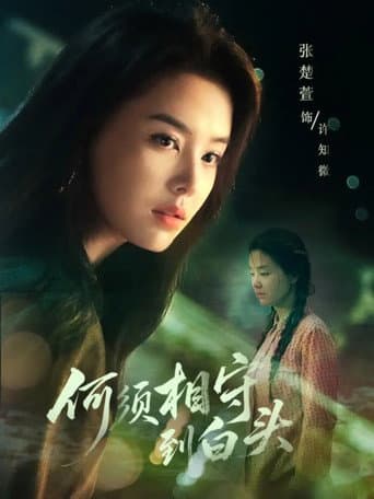 Poster for 何须相守到白头